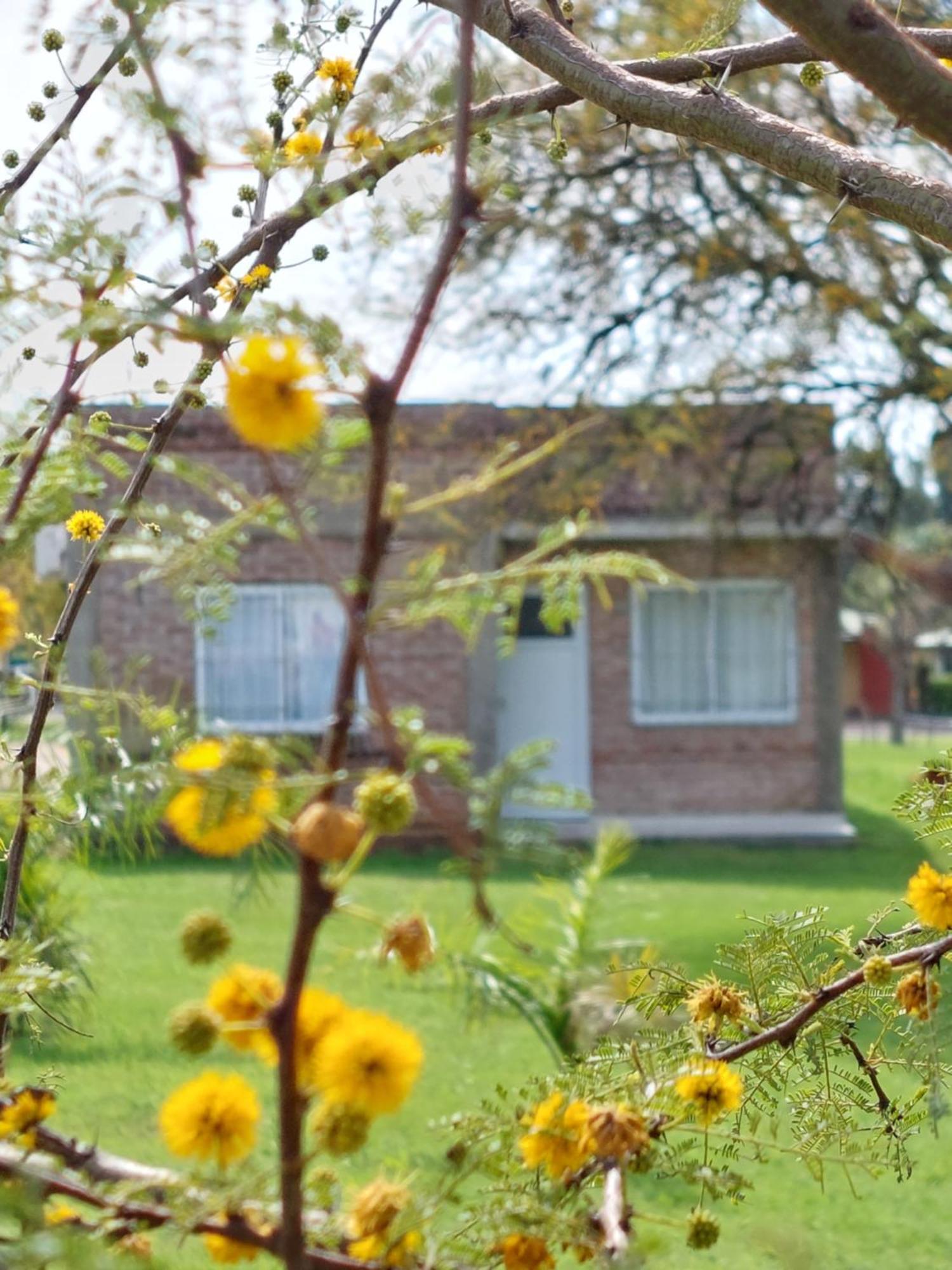 La Casita Del Campo Apartment *