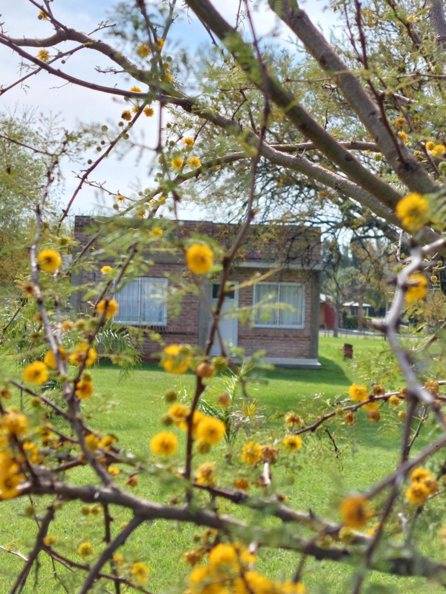La Casita Del Campo Apartment Colon (Entre Rios)